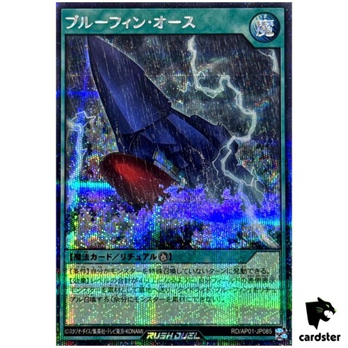 Giuramento blu ap01 jp085 - blu, rd/ap01-jp085