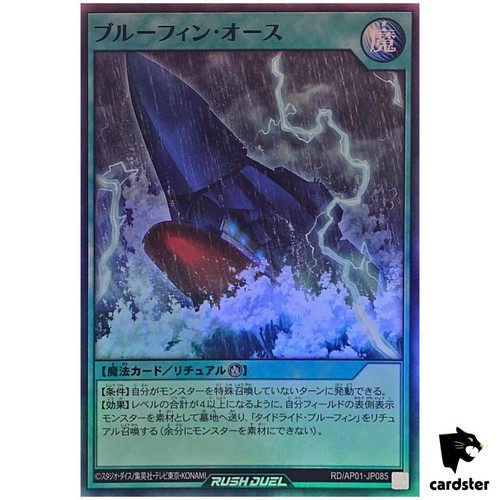Giuramento blu ap01 - giuramento, rd/ap01-jp085